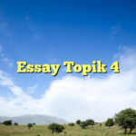 Essay Topik 4